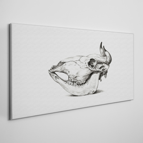 Tablou canvas Craniu de animal