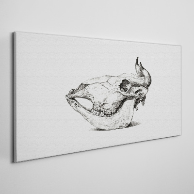 Tablou canvas Craniu de animal