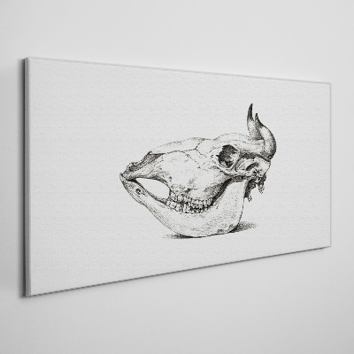 Tablou canvas Desen craniu de vacă