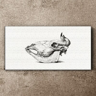 Tablou canvas Craniu de animal