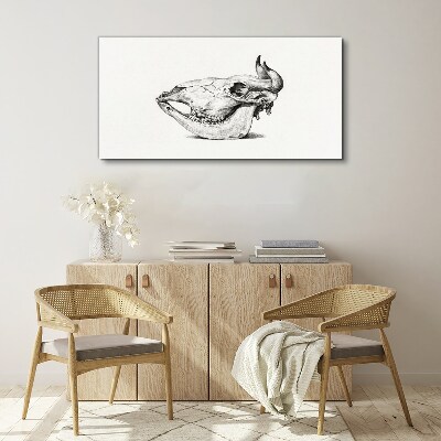 Tablou canvas Craniu de animal