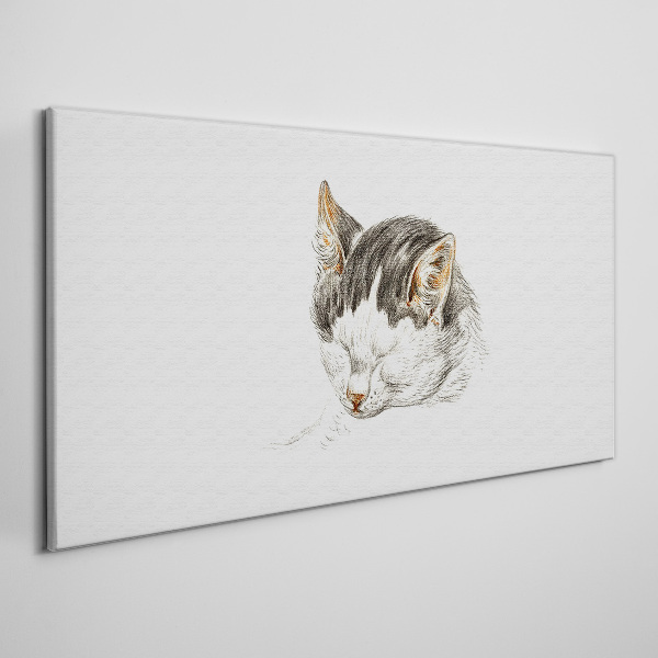 Tablou canvas Visul pisicii