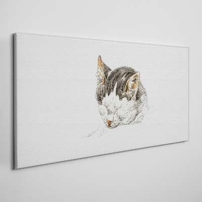 Tablou canvas Visul pisicii
