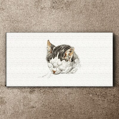 Tablou canvas Visul pisicii