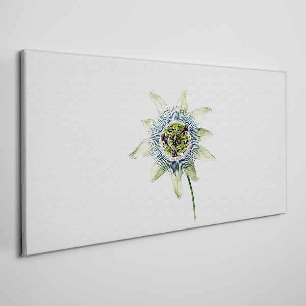Tablou canvas Floarea pasiunii pe fundal alb