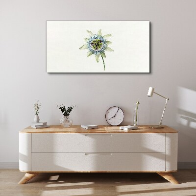 Tablou canvas Floarea pasiunii pe fundal alb
