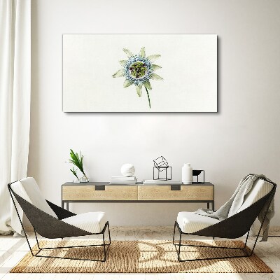 Tablou canvas Floarea pasiunii pe fundal alb