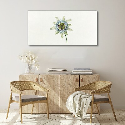 Tablou canvas Floarea pasiunii pe fundal alb