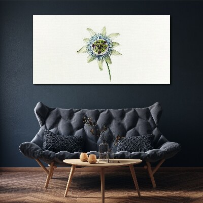 Tablou canvas Floarea pasiunii pe fundal alb