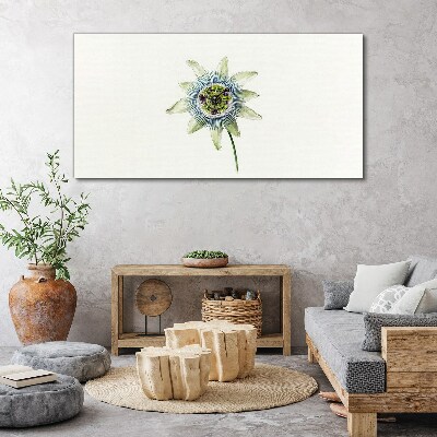 Tablou canvas Floarea pasiunii pe fundal alb