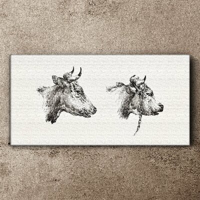 Tablou canvas Portretul a două vaci