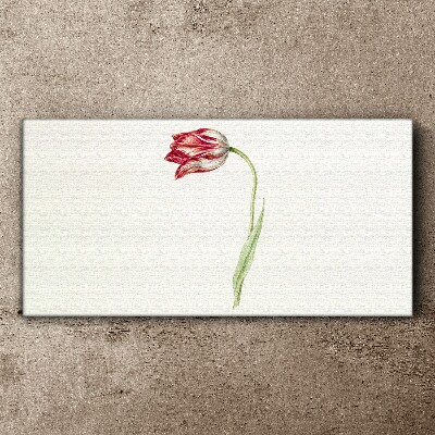 Tablou canvas florile plantei