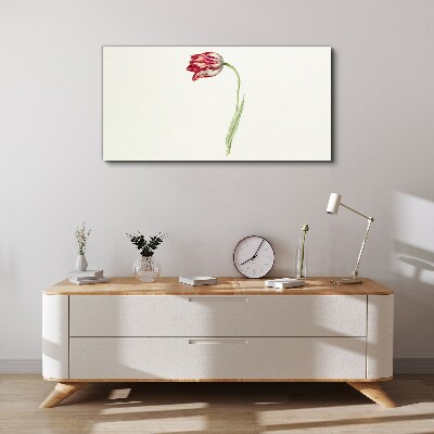Tablou canvas Lalea în nuanțe delicate