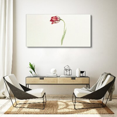 Tablou canvas Lalea în nuanțe delicate