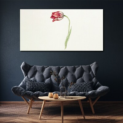 Tablou canvas Lalea în nuanțe delicate