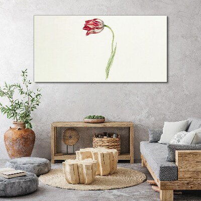Tablou canvas Lalea în nuanțe delicate