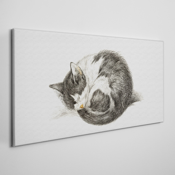 Tablou canvas Visul pisicii în nuanțe monocromatice