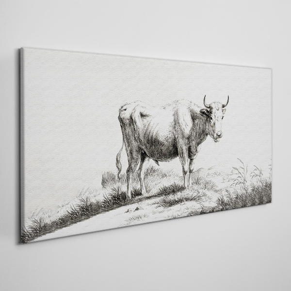 Tablou canvas Vaca neagră la pășune