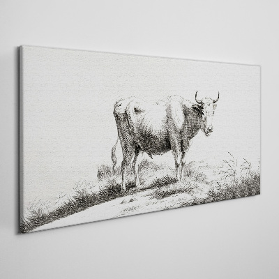 Tablou canvas Vaca neagră la pășune