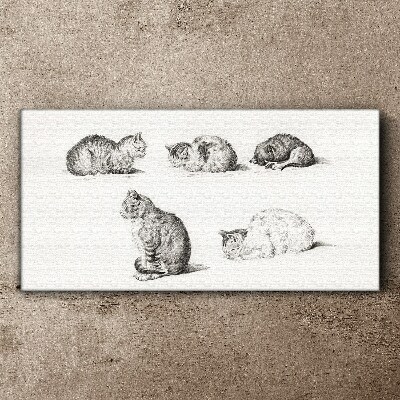Tablou canvas Posturi diferite ale pisicilor