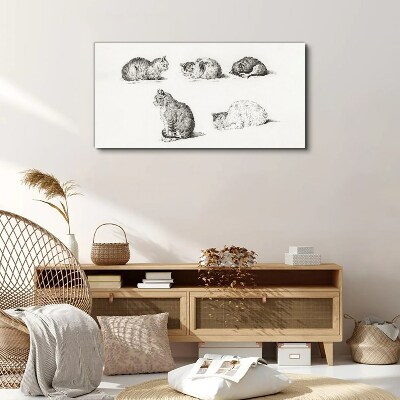 Tablou canvas Posturi diferite ale pisicilor