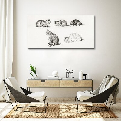 Tablou canvas Posturi diferite ale pisicilor