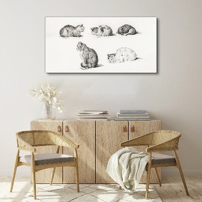 Tablou canvas Posturi diferite ale pisicilor