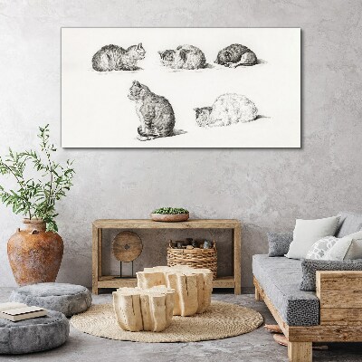 Tablou canvas Posturi diferite ale pisicilor