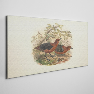 Tablou canvas Păsări în habitatul lor natural