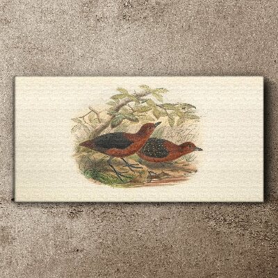 Tablou canvas Păsări în habitatul lor natural