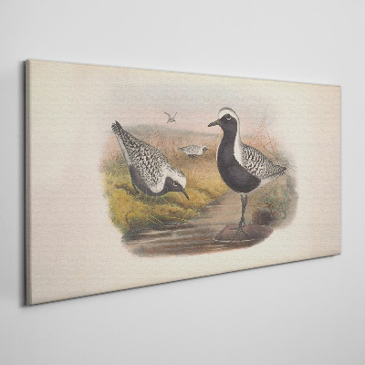 Tablou canvas Păsări în habitatul lor natural