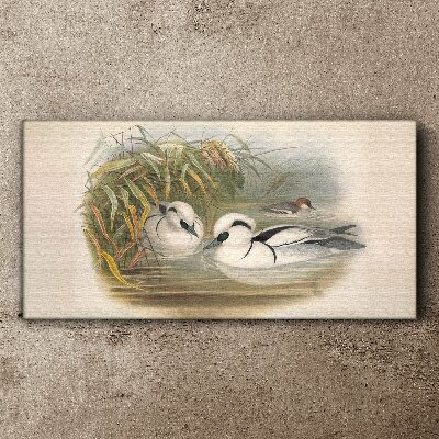 Tablou canvas Un duet idilic printre ierburi