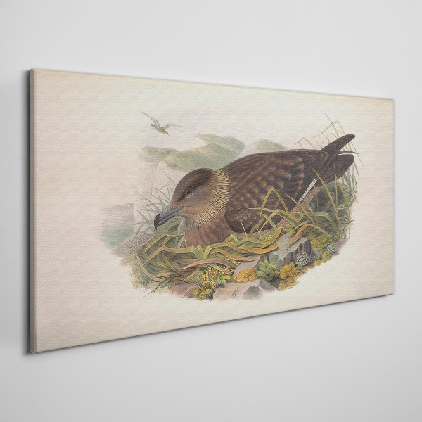 Tablou canvas Cuib de pasăre în mediul său natural