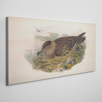 Tablou canvas Cuib de pasăre în mediul său natural