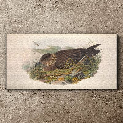 Tablou canvas Cuib de pasăre în mediul său natural