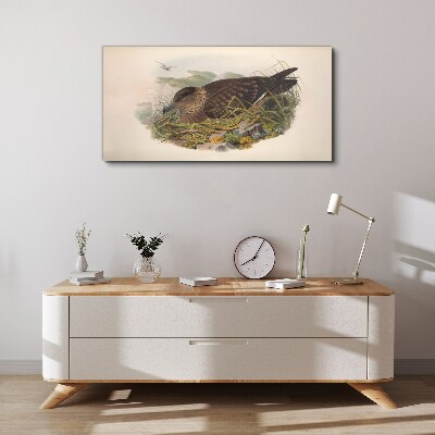 Tablou canvas Cuib de pasăre în mediul său natural