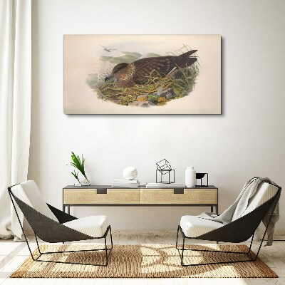 Tablou canvas Cuib de pasăre în mediul său natural