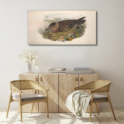 Tablou canvas Cuib de pasăre în mediul său natural