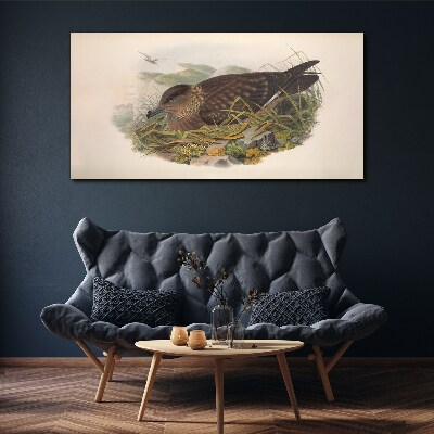 Tablou canvas Cuib de pasăre în mediul său natural