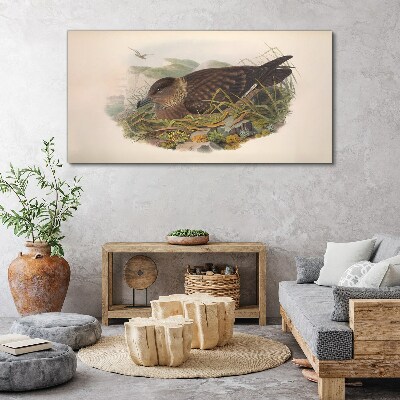 Tablou canvas Cuib de pasăre în mediul său natural