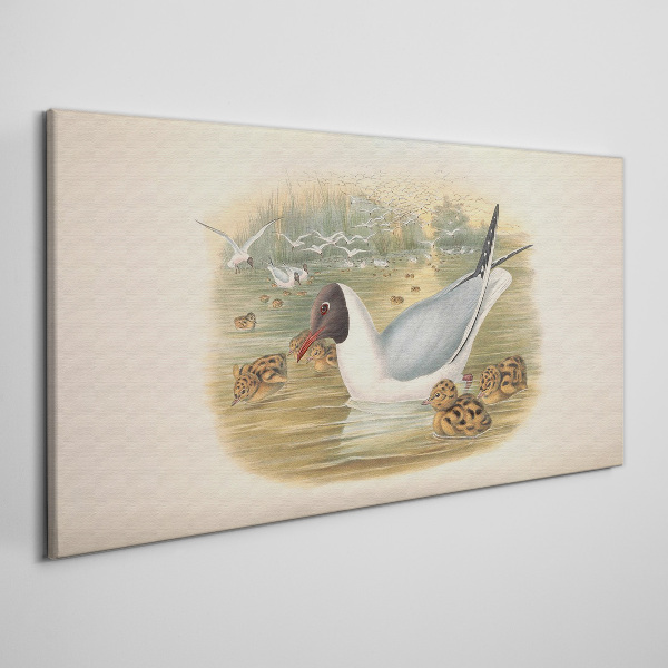 Tablou canvas Pescăruș cu puii în apă