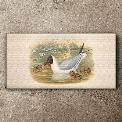 Tablou canvas Pescăruș cu puii în apă