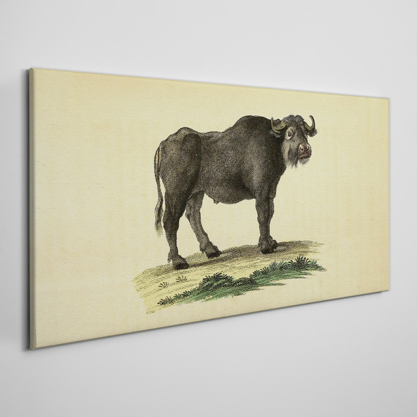 Tablou canvas Bivol pe un fundal natural