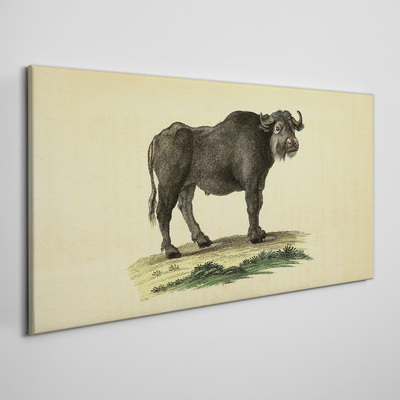 Tablou canvas Bivol pe un fundal natural