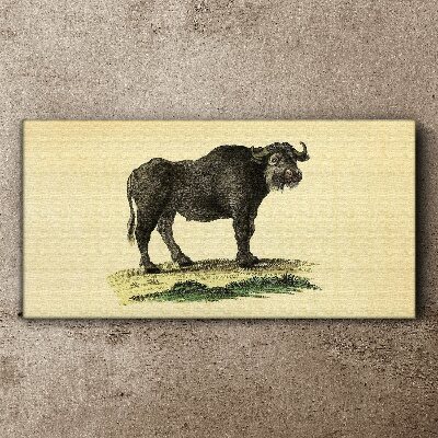 Tablou canvas Bivol pe un fundal natural