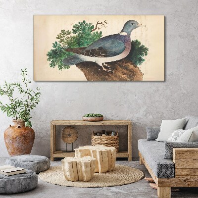 Tablou canvas Un porumbel pe un fundal verde