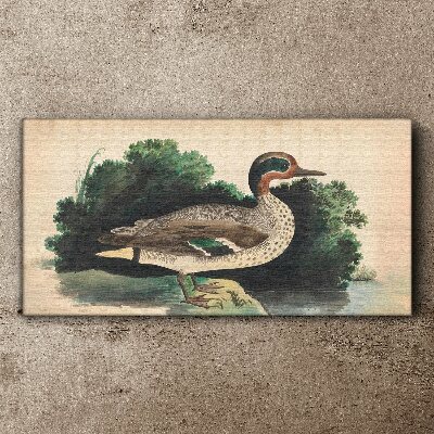 Tablou canvas O rață înconjurată de verdeață