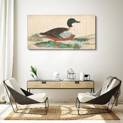 Tablou canvas Rață pe fundalul verde