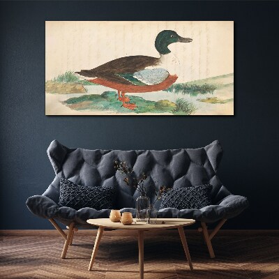 Tablou canvas Rață pe fundalul verde