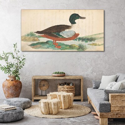 Tablou canvas Rață pe fundalul verde